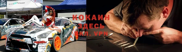 сатива Надым