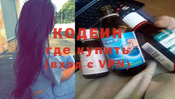 гашик Нея
