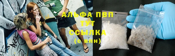 сатива Надым