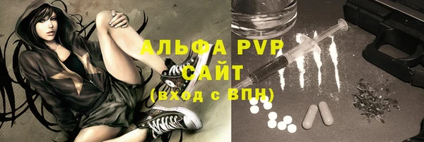 сатива Надым