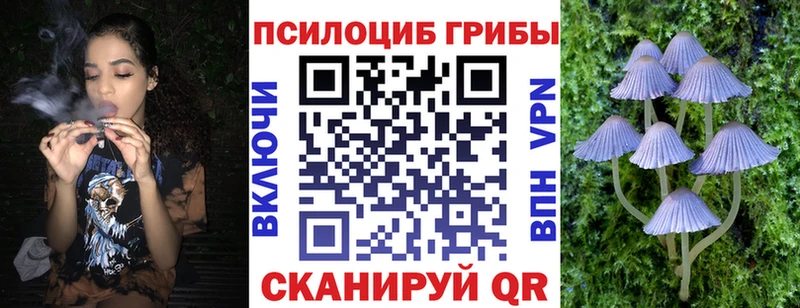 KRAKEN tor  даркнет сайт  Нелидово  Галлюциногенные грибы мухоморы 